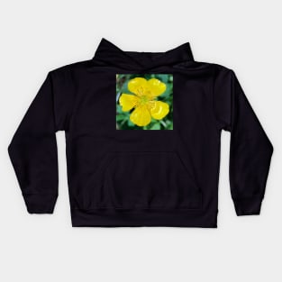 Buttercup, Buttercup...lend me your ears. Kids Hoodie